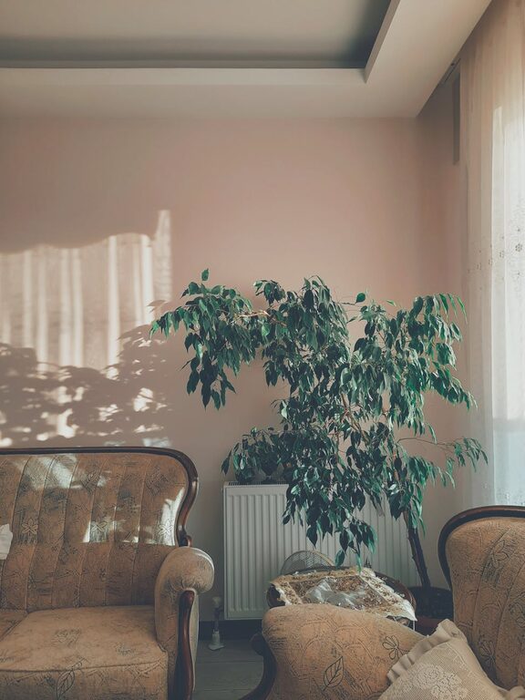 Tips for Creating a Cozy and Inviting Home Environment